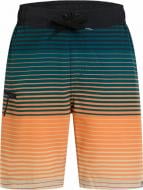 Шорты Firefly Otto II B Shade Stripe 434990-781 р. 164 разноцветний