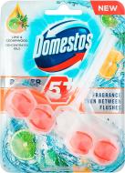 Туалетний блок Domestos Power 5 Лайм та кедр