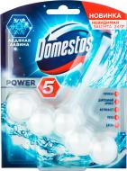 Туалетный блок Domestos Power 5 Ледяная лавина