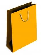 Пакет бумажный 400x300x170 мм оранжевый PBS