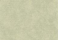 Обои Vinil Таяна ВКП2-0979 Обои Vinil Таяна ВКП2-0979
