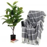 Плед Familia 140x200 см серый Vladi