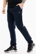 Брюки Avecs AV-50273/23 р. 54 темно-синий