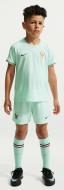 Комплект футбольной формы Nike FFF IB4562-394 р.S голубой