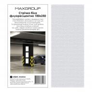 Лента флуоресцентная MAXGROUP 100x250 мм белая NM-318