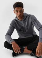 Джемпер 4F 4FRAW23TSWSM1141-24S р.XL серый