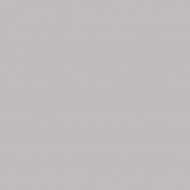 Краска интерьерная латексная Primacol Professional SELECTA 07 мат V168 10 л