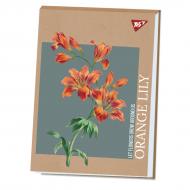 Альбом для рисования Lily 130584 YES