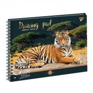 Альбом для рисования Wild animals 130454 YES