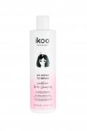 Кондиционер Ikoo An Affair to Repair Conditioner "НУ ВОТ… КАПРЕМОНТ!"