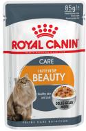 Корм влажный для поддержания здоровья кожи и красоты шерсти Royal Canin Intense Beauty в желе рыба, злаки 85 г