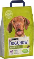 Корм для всех пород Dog Chow Dog Chow с ягненком 2,5 кг 12232968 2,5 кг