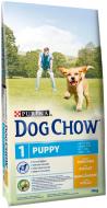 Корм для усіх порід Dog Chow Dog Chow Junior з куркою 14 кг 12232987 14 кг