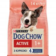 Корм сухой Dog Chow by Purina Active Adult 1+ для взрослых собак с повышенной активностью с курицей 14 кг