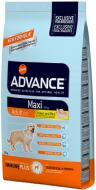 Корм для крупных пород Advance Maxi Adult 20 кг (курица, рис) 20 кг