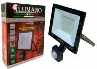 Прожектор Lumano 50 Вт IP65 черный 18801