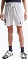 Шорты Nike ENT Y NK DF STAD HM IB5254-100 р. S разноцветный