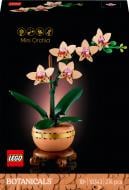 Конструктор LEGO Botanical Міні орхідея 10343