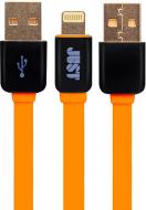 Кабель JUST Lightning – USB 1,2 м оранжевый (LGTNG-RNBW-RNG)
