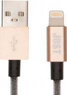 Кабель JUST Lightning – USB 1,2 м золотой (LGTNG-SLCN-GLD)