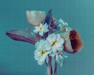 Обои виниловые на флизелиновой основе A.S. Creation The wall 38269-1 0,53x20,1 м