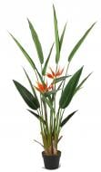 Дерево искусственное Strelitzia (DW-09) Engard