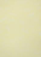 Обои виниловые на бумажной основе Vinil Зайчики стена ВКС 2-1336 0,53x10,05 м