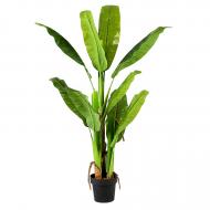 Дерево искусственное Banana Tree (DW-08) Engard