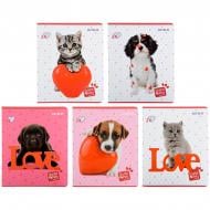 Тетрадь школьная 24 листа ячейка SP22-238-2 KITE