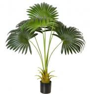 Дерево штучне Fan Palm (DW-26) Engard