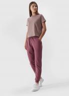 Футболка 4F 4FWAW23TTSHF1169-83S р.L коричневый