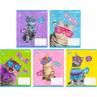 Тетрадь школьная 12 листов клетка R22-232 KITE