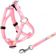 Комплект CАMON Dog&Bone шлея з повідцем 10х1400 мм