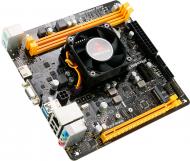 Материнская плата Biostar A10N-9830E (Integrated CPU, SoC, mini ITX)