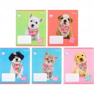 Тетрадь школьная 12 листов линия SP22-234 KITE