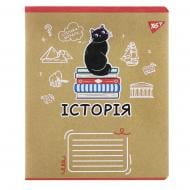 Тетрадь предметная 48 листов клетка История (Black cat) крафт YES