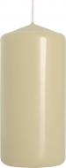 Свеча цилиндрическая 50/100-011 слоновая кость Bispol