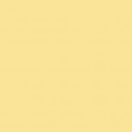 Краска интерьерная акриловая Primacol Professional SELECTA 05 мат H072 10 л