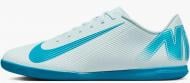 Футзальная обувь Nike Vapor 16 Club Ic FQ8438-400 р.42,5 голубой