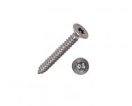 Саморез по металлу антивандальный с круглой головкой 5,5x63 мм 10 шт нержавеющая сталь Expert Fix