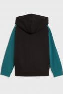 Джемпер Puma SUPER PUMA Hoodie TR PS 69191901 р.116 черный