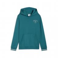 Джемпер Puma PUMA CLASS Graphic Hoodie TR B 69253241 р.176 зеленый