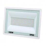 Прожектор светодиодный Lightwell LW-FL-W-100 100 Вт IP65 белый 295918