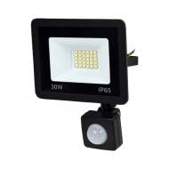 Прожектор с датчиком движения Lightwell LW-FL-B-30-S 30 Вт IP65 черный 301048