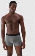 Трусы мужские 4F 4FAW23UBXSM027-90M 3XL серый