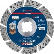 Диск алмазний відрізний Bosch X-LOCK Multi Material 125x2,4x22,23 2608900670
