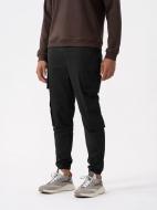 Брюки 4F TROUSERS CAS M449 4FAW23TTROM449-20S р. L черный