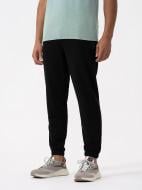 Штани 4F TROUSERS CAS M453 4FAW23TTROM453-20S р. L чорний Штани 4F TROUSERS CAS M453 4FAW23TTROM453-20S р. L чорний