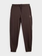 Брюки 4F TROUSERS CAS M453 4FAW23TTROM453-80S р. S коричневый