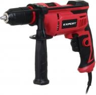 Дриль ударний Expert Tools 710 Вт VPID1050